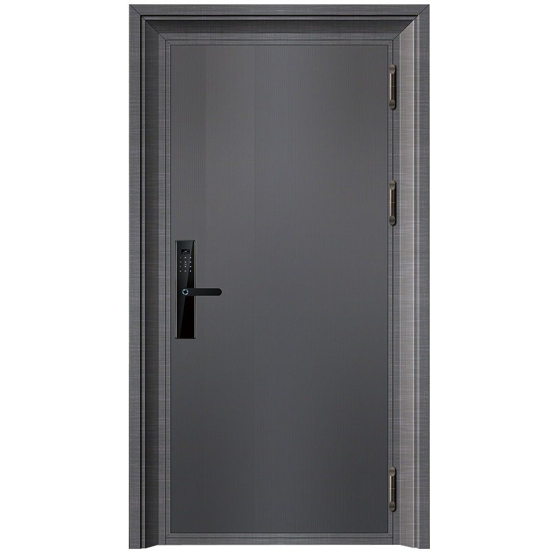 Cast Stainless Steel Finished Anti-Theft Modern Side Opening Entry Exterior Door for Apartment Hotel Villa & Living Room Use